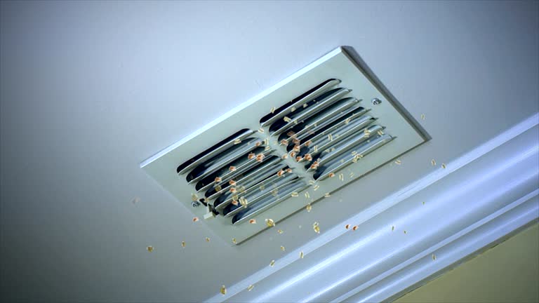 Best Local Air Duct Cleaning Services  in Anahola, HI
